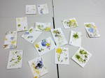 Wildpflanzen-Postkarten_1