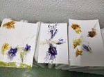Wildpflanzen-Postkarten_1